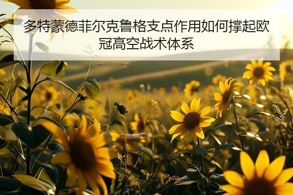 多特蒙德菲尔克鲁格支点作用如何撑起欧冠高空战术体系